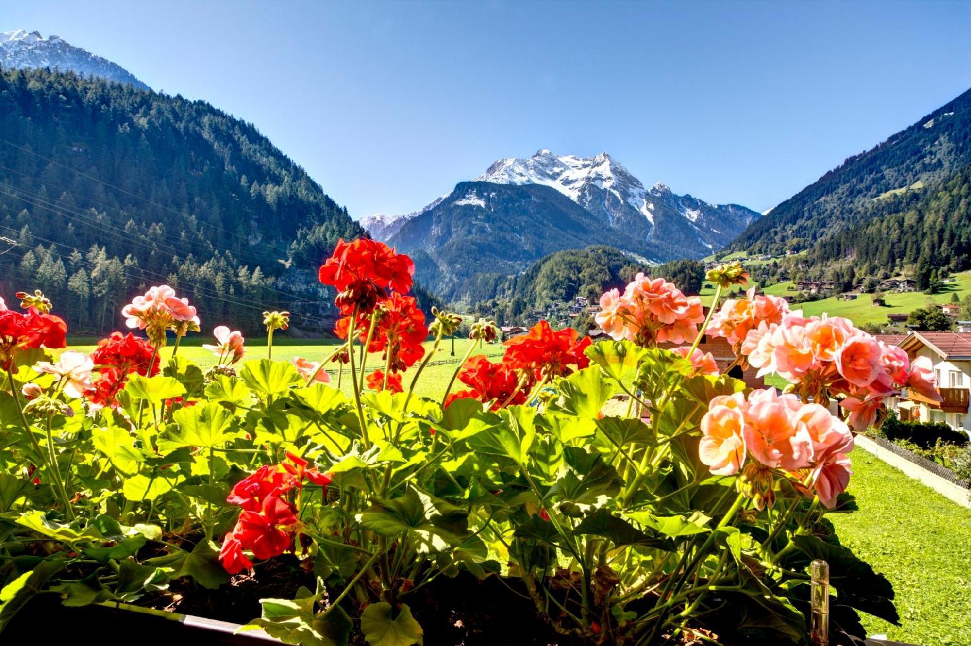 Gaestehaus Oblasser Mayrhofen Exterior photo